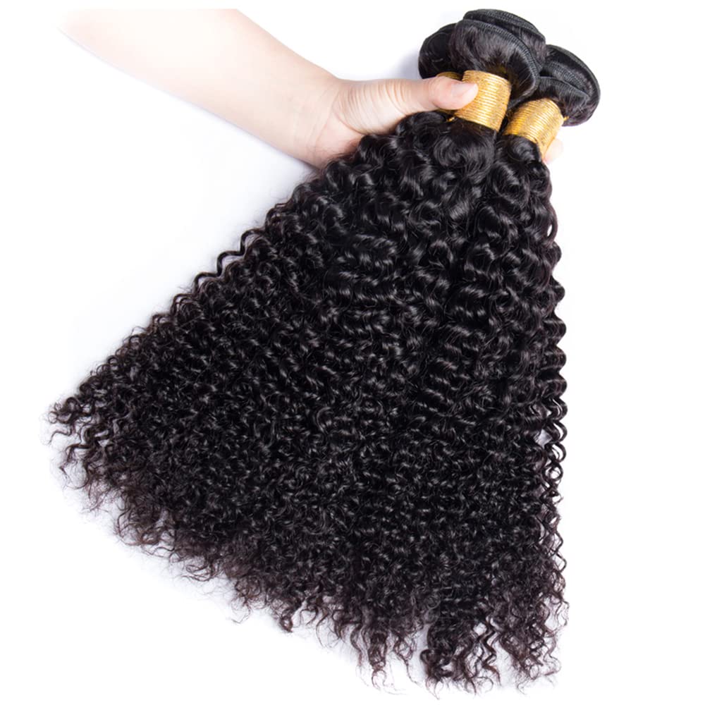 Raw Brazilian Hair Bundles Kinky Curly Human Hair