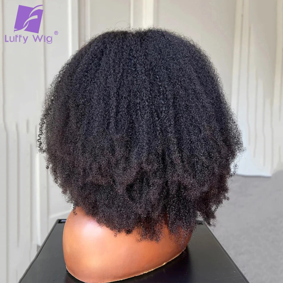 Afro Kinky Curly Human Hair V Part Wig