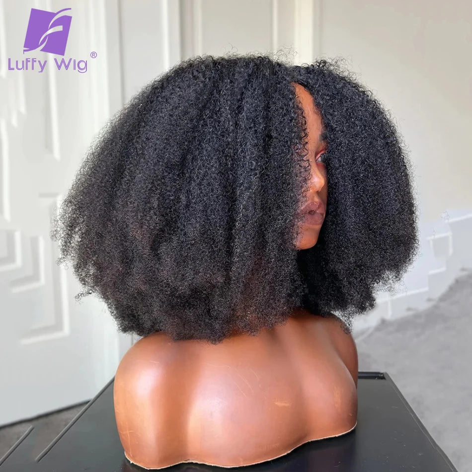 Afro Kinky Curly Human Hair V Part Wig